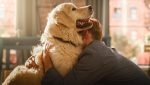 therapy-dogs-in-treating-car-accident-victims-man-hugging-dog